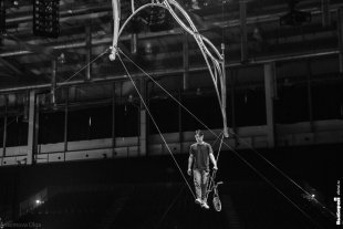 «OVO» от Cirque du Soleil (Цирк дю Солей) - закулисье. Фоторепортаж