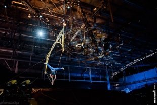 «OVO» от Cirque du Soleil (Цирк дю Солей) - закулисье. Фоторепортаж