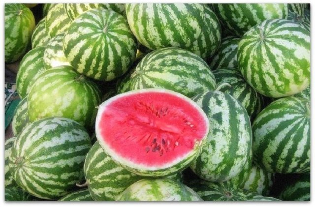 Где купить вкусный арбуз?