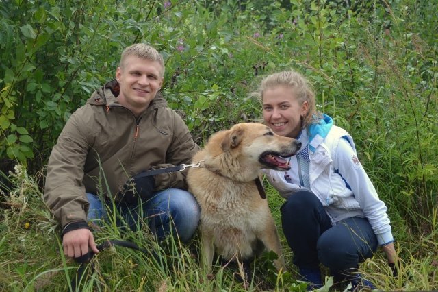 "Поможем вместе": в Сургуте пройдет благотворительное мероприятие для помощи бездомным животным