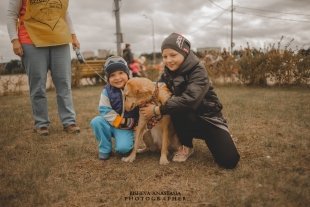В Сургуте прошел Всемирный день бездомных животных/ ФОТОГАЛЕРЕЯ