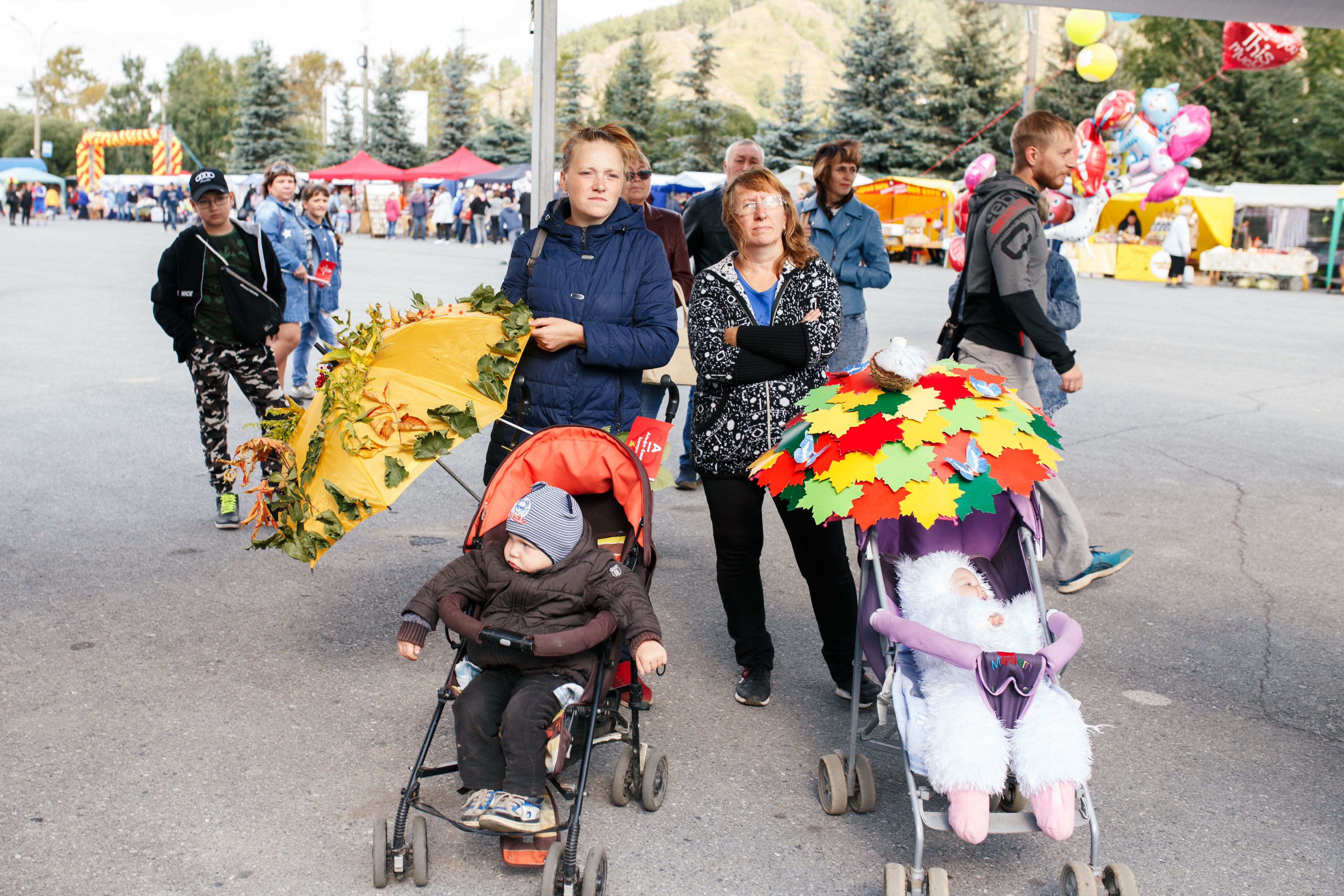 Передачи на сегодня златоуст