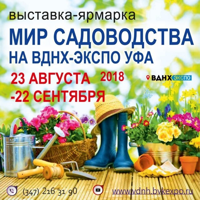 ВДНХ ЭКСПО УФА приглашает уфимцев на сентябрьские выставки