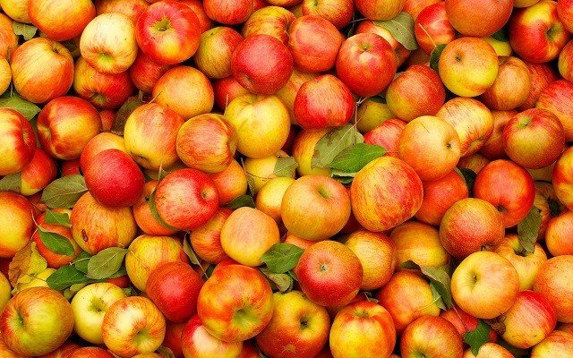 В Челябинске пройдет фестиваль яблок