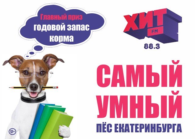 Хит FM выберет самого умного пса в Екатеринбурге!