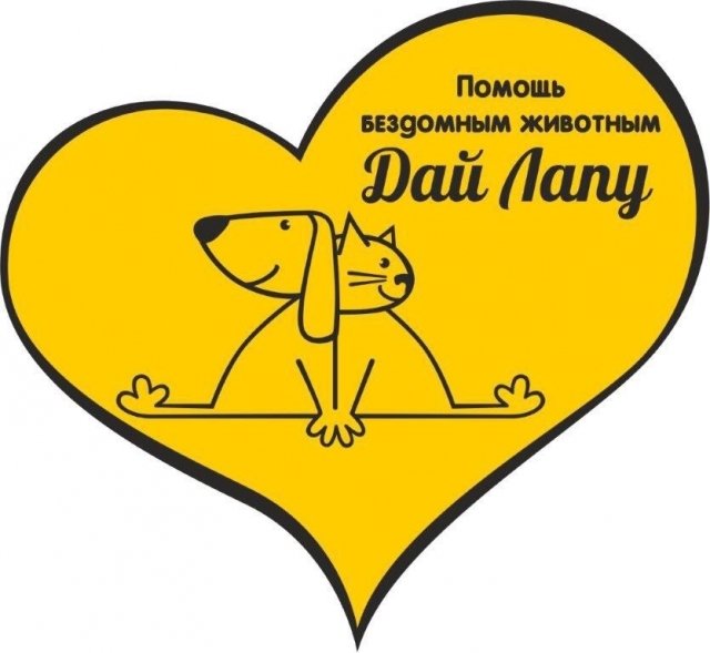 Центр помощи бездомным животным "Переправа" выиграл президентский грант 2,5 миллиона рублей 