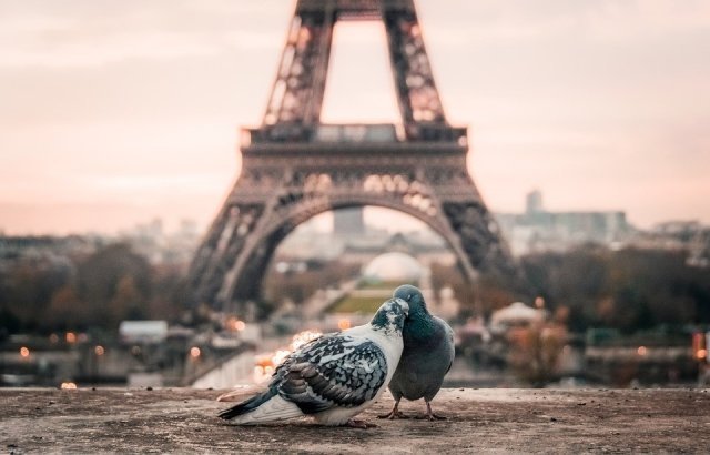 Тест: смогли бы вы жить в Париже?