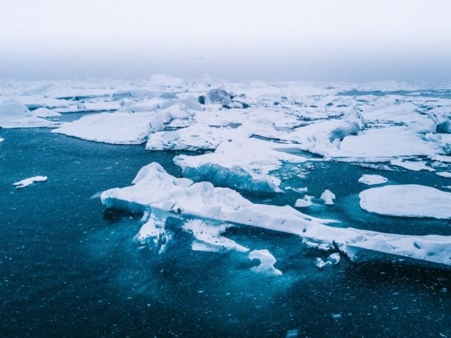 Тест: выживете ли вы в Антарктиде?