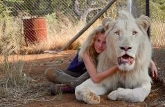 Фильм Миа и белый лев