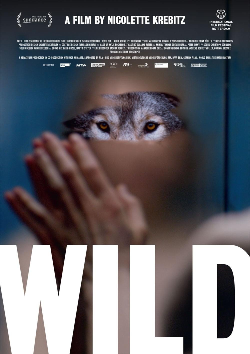 Wild 2016. Дикая Постер.