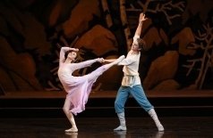 Каменный цветок