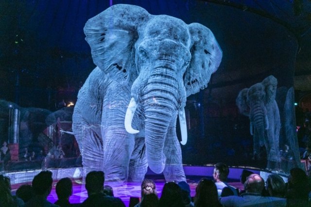 Немецкий цирк Ронкалли заменил животных на голограммы