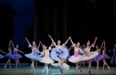 Спящая красавица