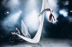 История года