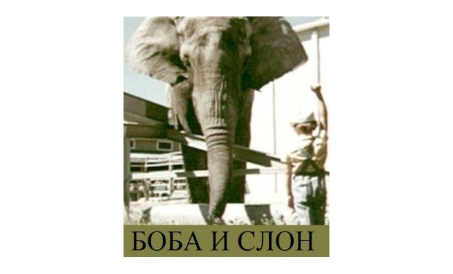 Боба и слон