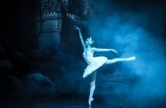 Лебединое озеро