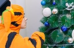 Ёлка. Сказка. Чудеса!