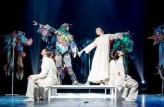 Финист ясный сокол