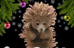 Волшебная ёлка