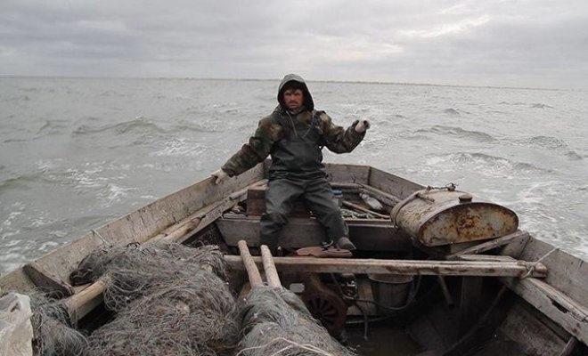 Поморы
