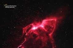 Космические собаки