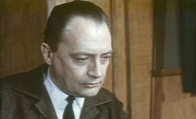 Попутного ветра, «Синяя птица»!