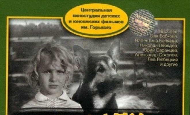 Дай лапу, Друг