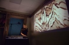 Дикие лебеди