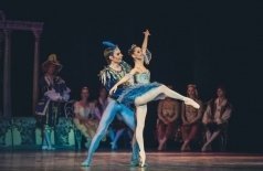 Спящая красавица
