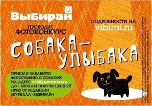 Фотоконкурс «Собака-улыбака»