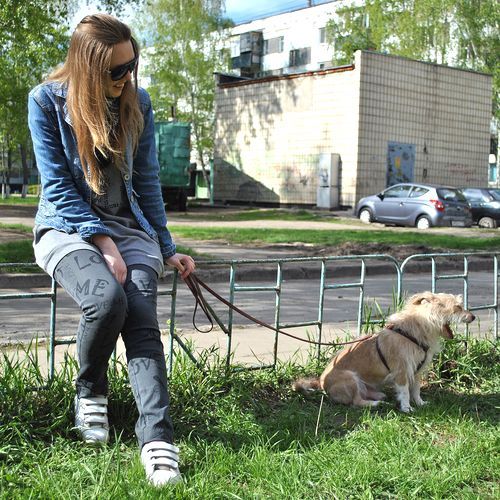 Собака-зевака Бим. Автор: Павел Жуков