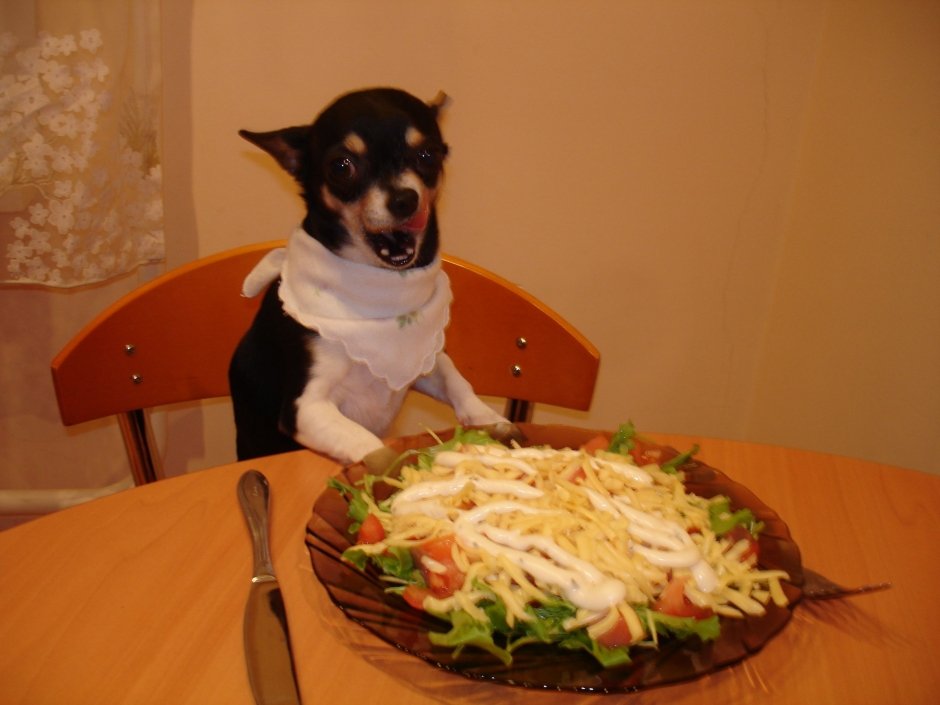 Мими