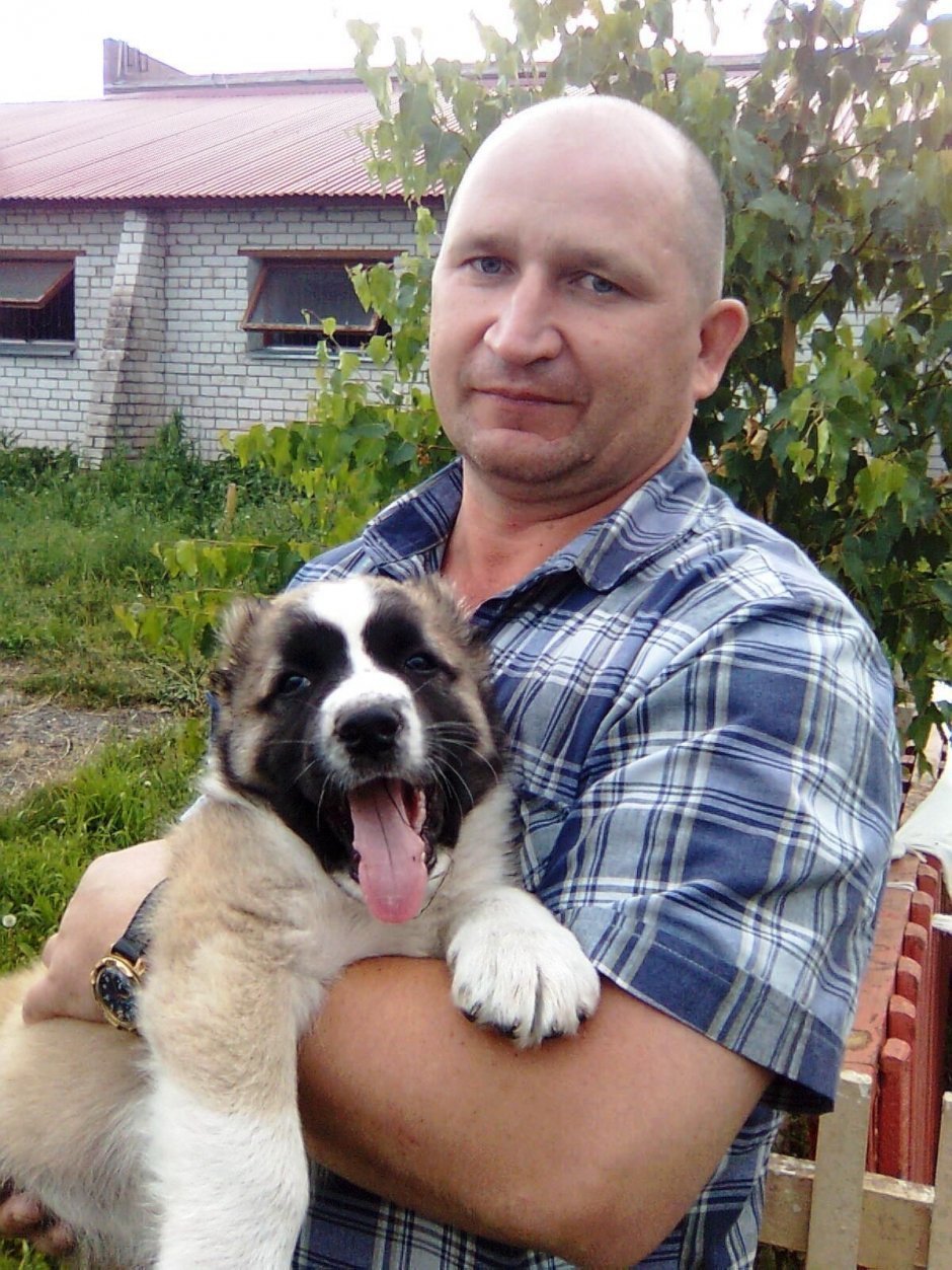 Львович и Лаки
