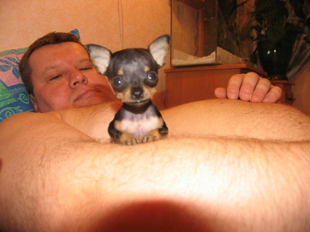 Лобзик