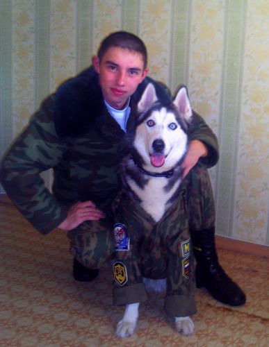 Собака Грэй. Автор: Ешпаева Татьяна