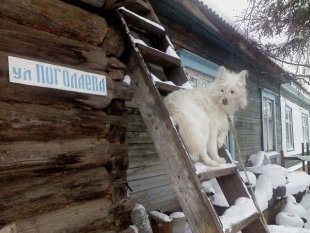 Кузя, прислала Попова Людмила
