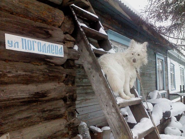 Кузя, прислала Попова Людмила