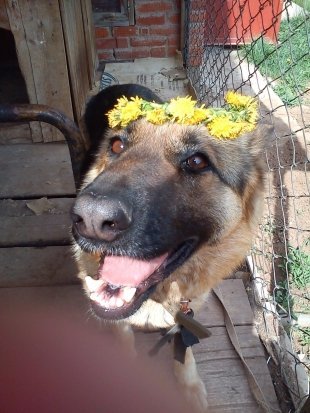 Анастасия Гуничева: Берта