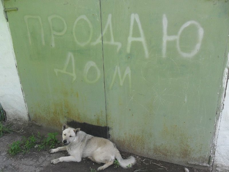 Рекс
