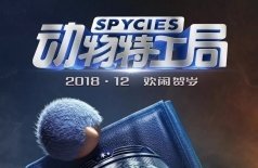 Кот под прикрытием