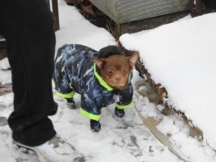 Семён, прислала Татьяна Гринева