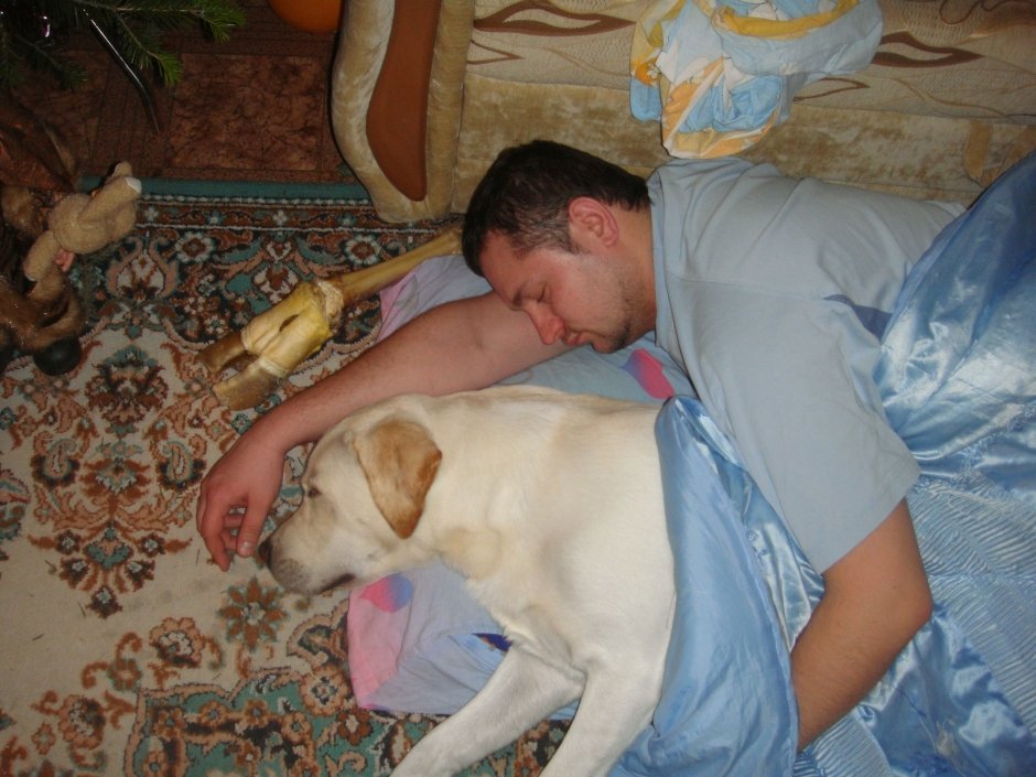 Прислала Валерия Шадрина