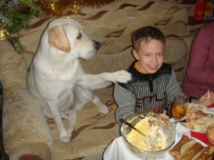 Прислала Валерия Шадрина