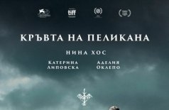 Кровь пеликана