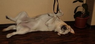 Прислала Ксения Соколова