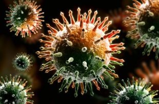Пять способов восстановления после коронавируса