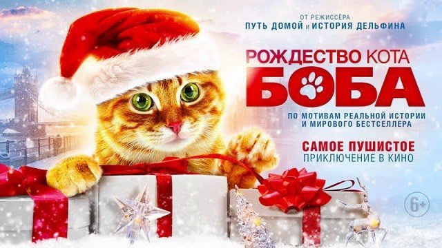 Розыгрыш билетов на фильм «Рождество кота Боба» в кинотеатр «Континент Синема КомсМОЛЛ»