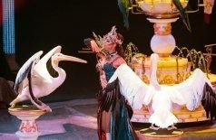 Королевский цирк