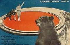 Король манежа