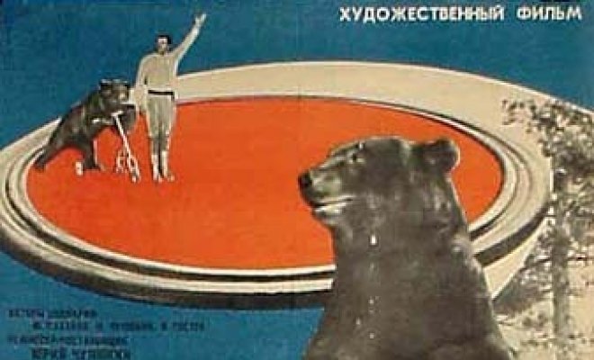 Король манежа